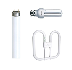 Fluorescent Lamps