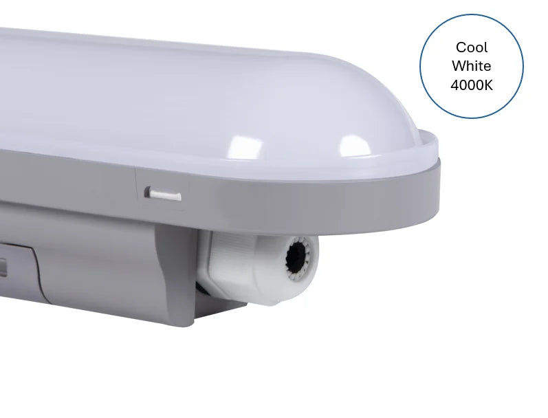 LED 5FT 48W IP65 Non-Corrosive Dustrproof Fitting – Cool White 4000K