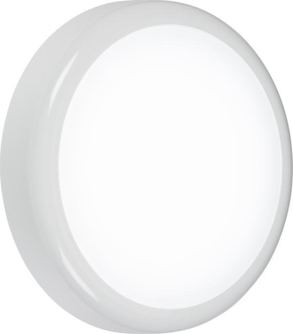 IP65 9W CCT Adjustable LED Bulkhead