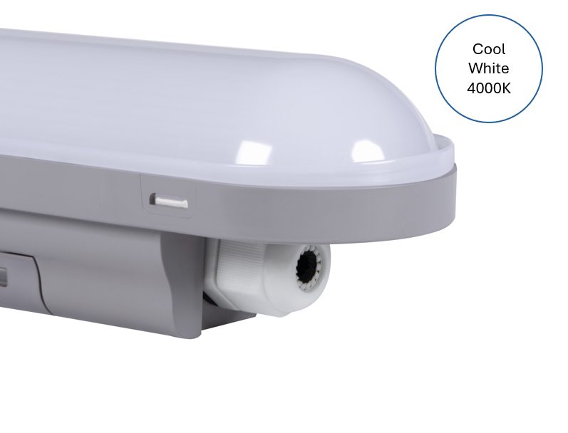 LED 5FT 48W IP65 Non-Corrosive Dustrproof Fitting – Cool White 4000K